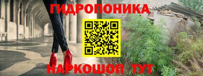 стафф Туймазы