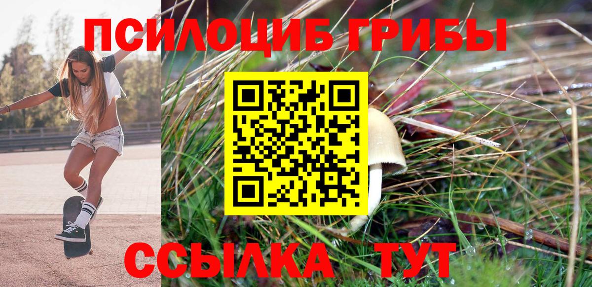 Новочебоксарск  Галлюциногенные грибы Cubensis  Вход с VPN 
