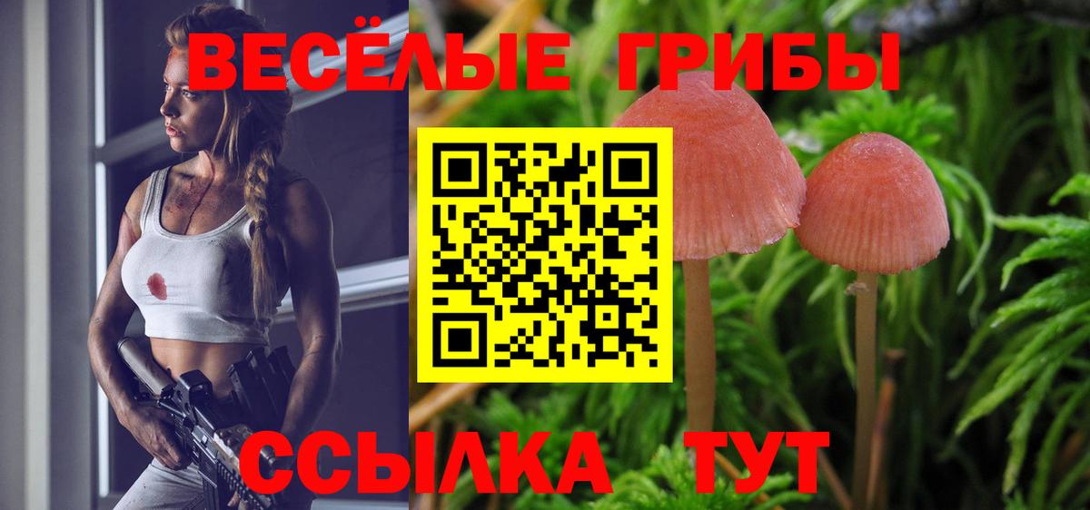 Галлюциногенные грибы Cubensis Новочебоксарск